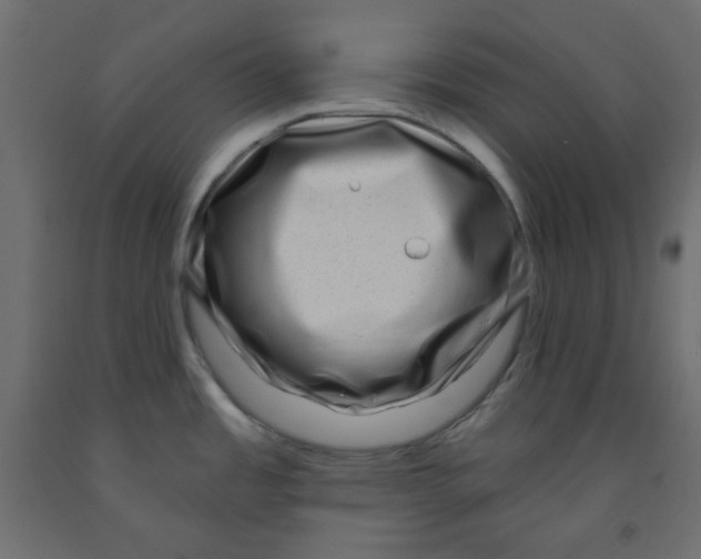 X0000091951485200710040958