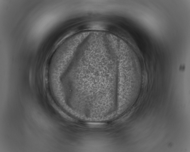 X0000091951487200710040958