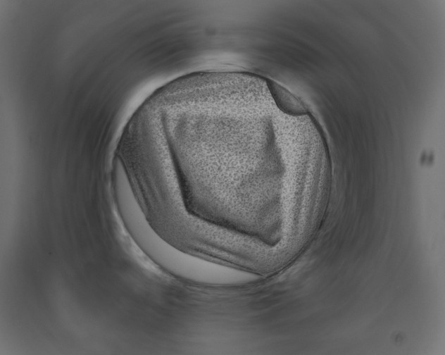 X0000091951488200710040958