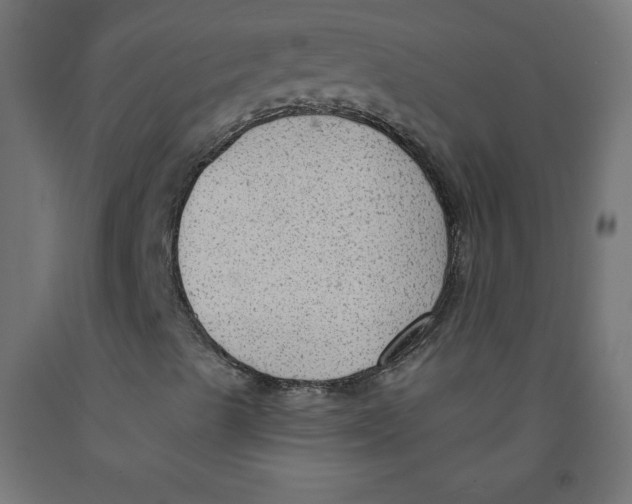 X0000091951489200710040957