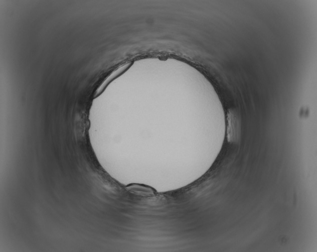 X0000091951491200710040957