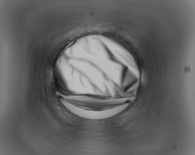 X0000091951492200710040957