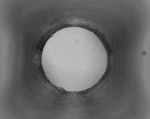 X0000091951493200710040957