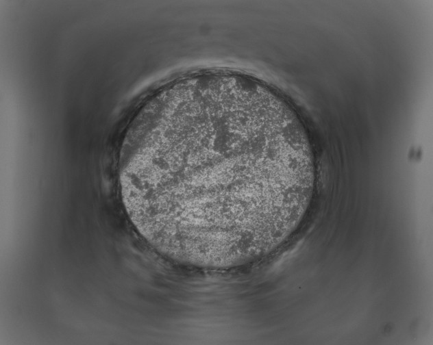 X0000091951494200710040957