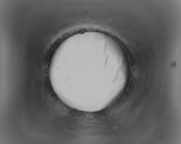 X0000091951495200710040957