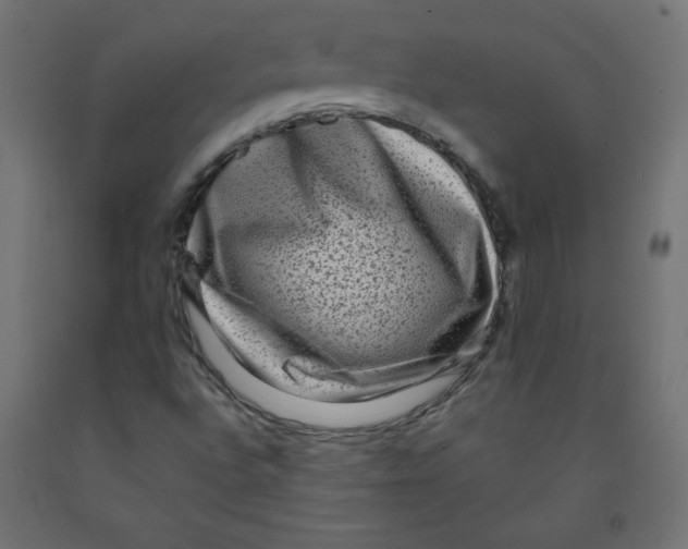 X0000091951496200710040957