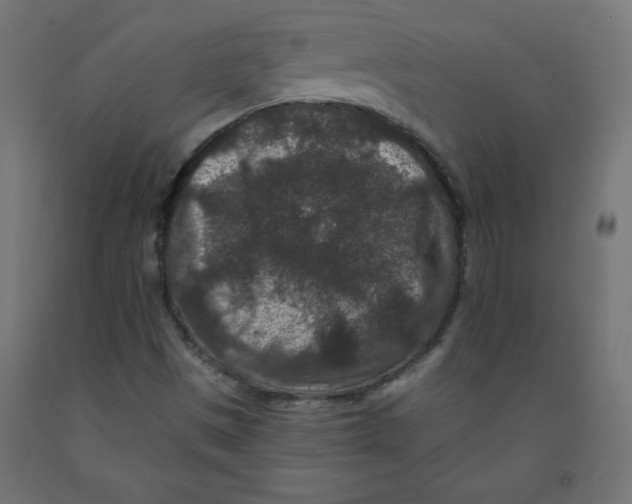 X0000091951497200710040957