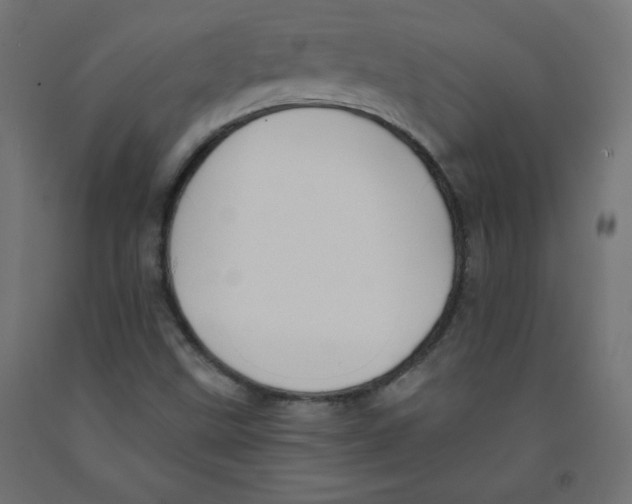 X0000091951499200710040957