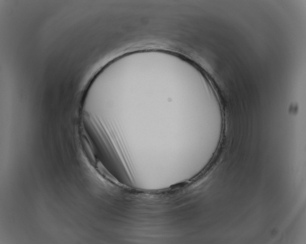 X0000091951500200710040957