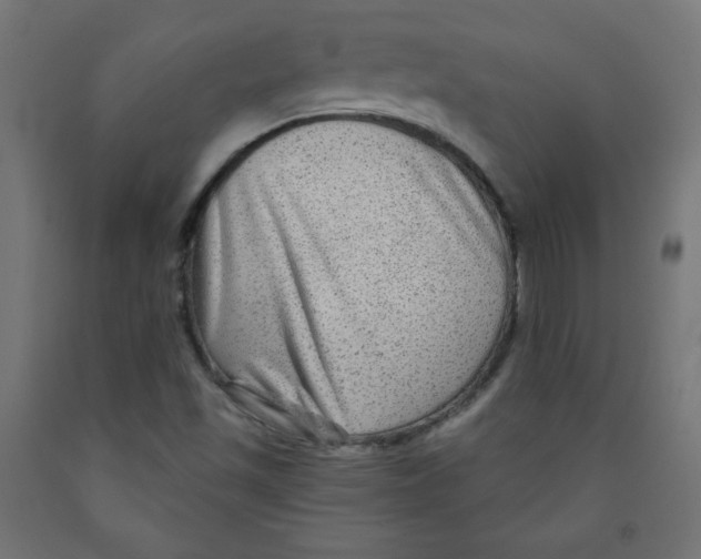 X0000091951501200710040957