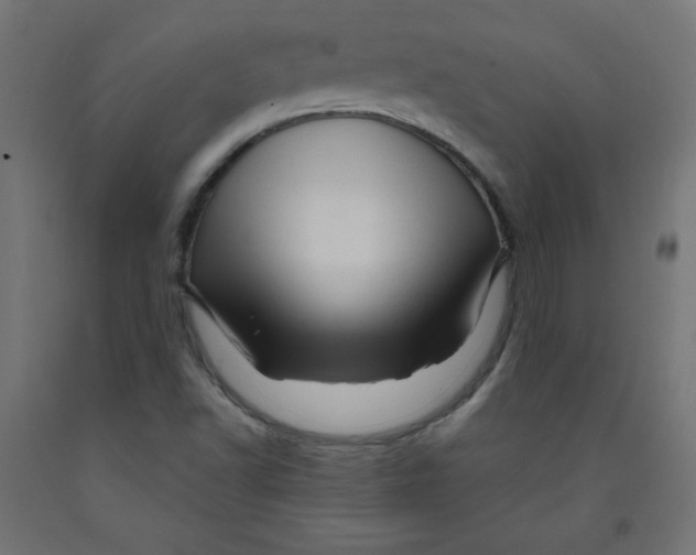 X0000091951502200710040957