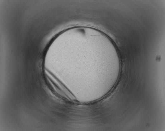 X0000091951503200710040957