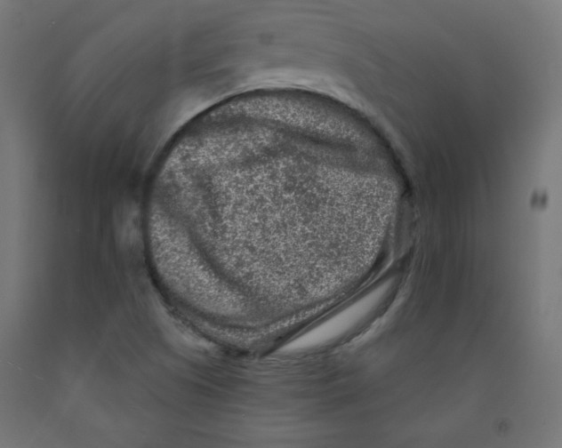 X0000091951505200710040957