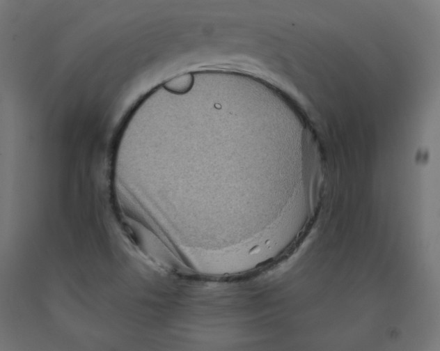 X0000091951506200710040957