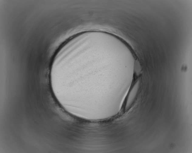 X0000091951507200710040957