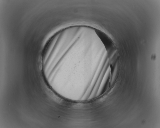 X0000091951510200710040957