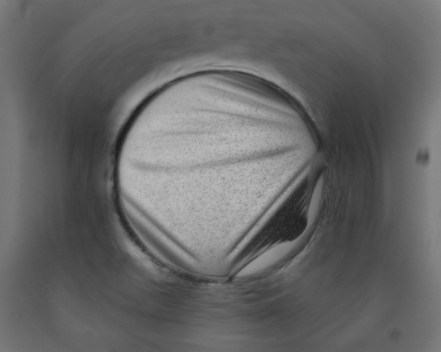 X0000091951511200710040957