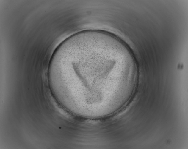 X0000091951513200710040957