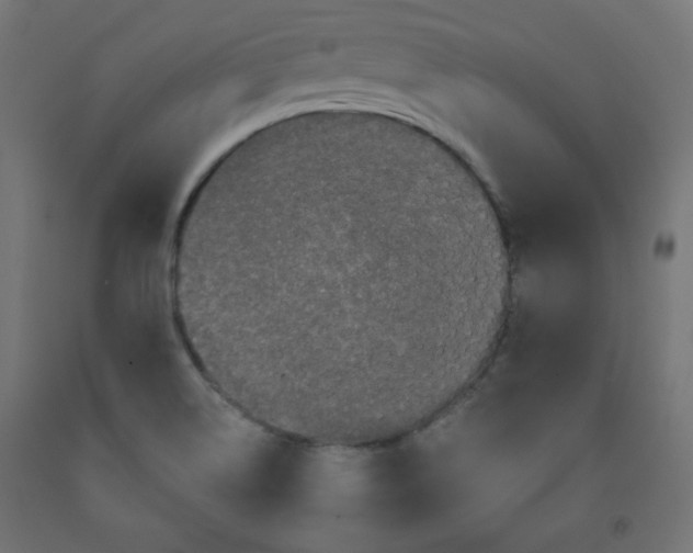 X0000091951514200710040957