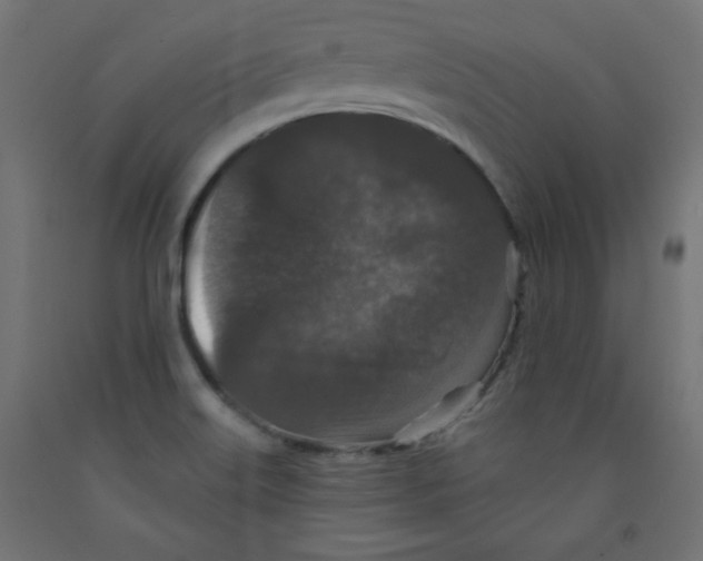 X0000091951515200710040957