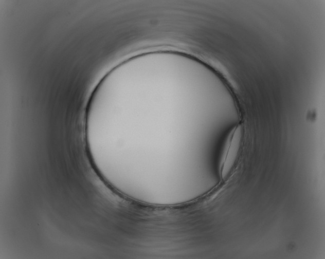 X0000091951516200710040957