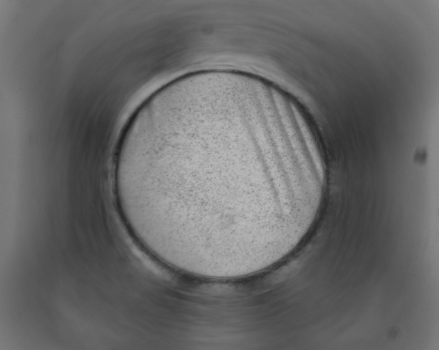 X0000091951517200710040957