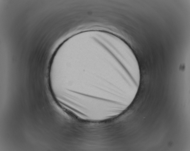 X0000091951518200710040957