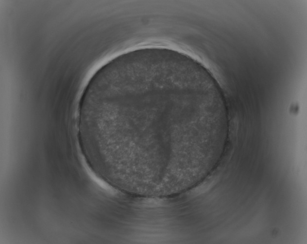 X0000091951519200710040957