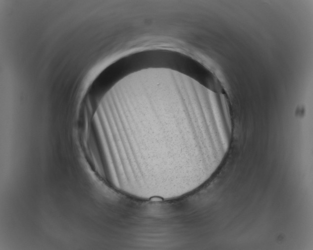 X0000091951520200710040957