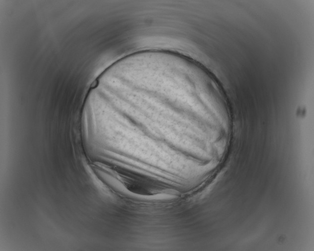 X0000091951521200710040957