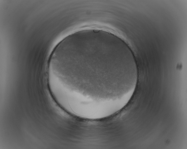 X0000091951522200710040957