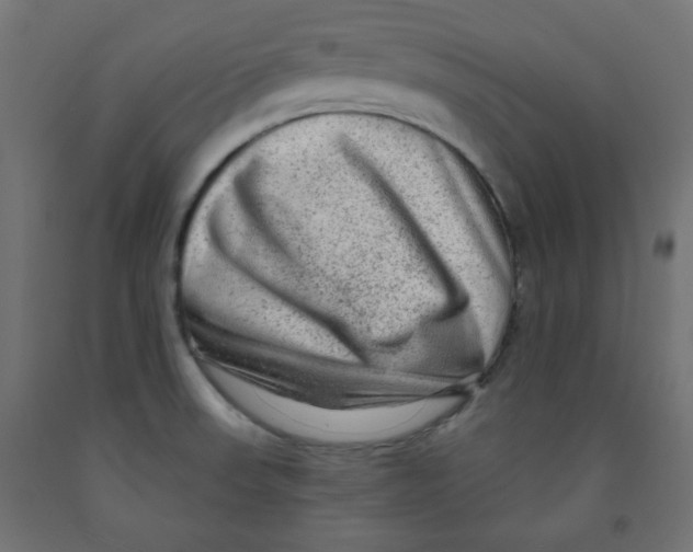 X0000091951523200710040957