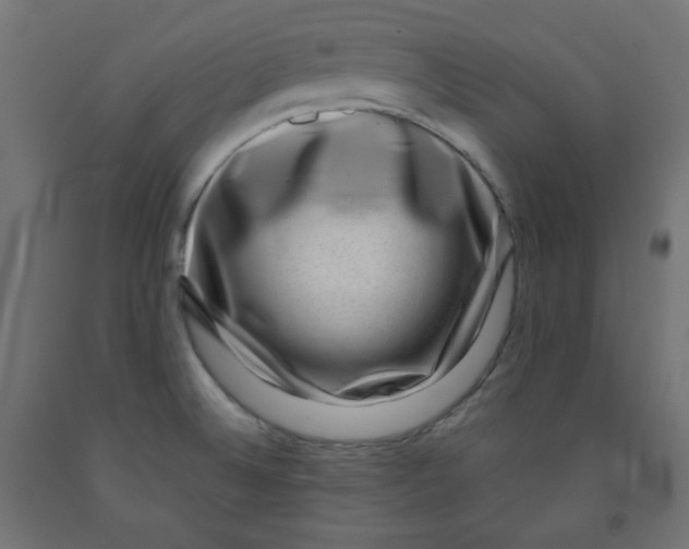 X0000091951524200710040957