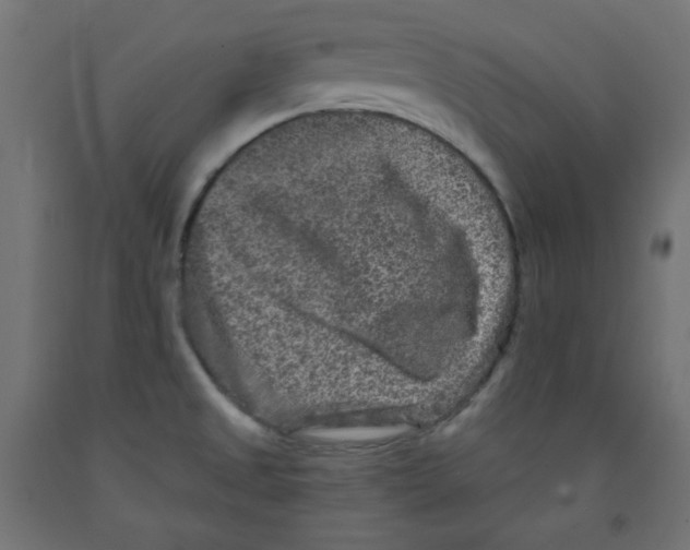 X0000091951525200710040957