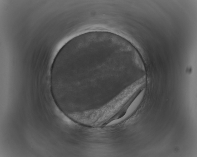 X0000091951527200710040957