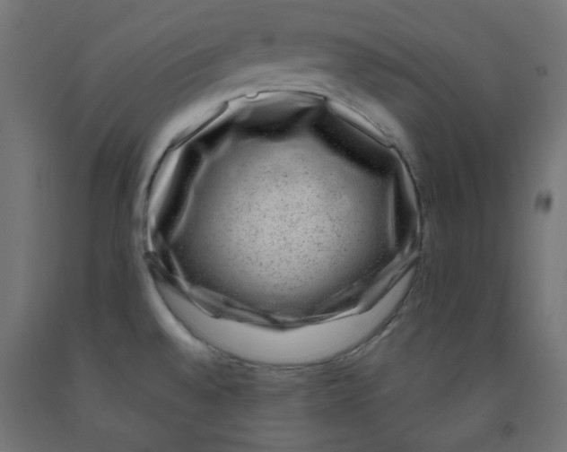 X0000091951528200710040957