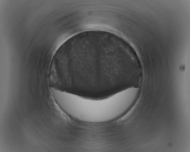 X0000091951529200710040957