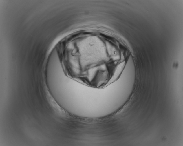 X0000091951530200710040957