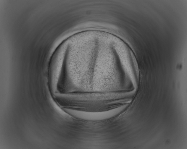 X0000091951531200710040957