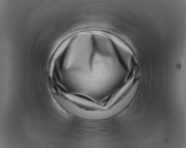 X0000091951532200710040958