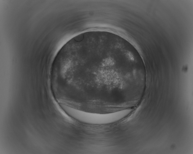 X0000091951533200710040958