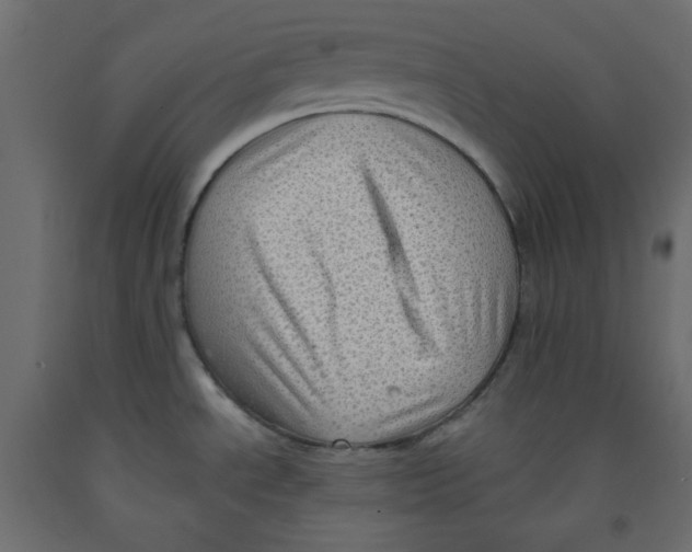 X0000091951534200710040958