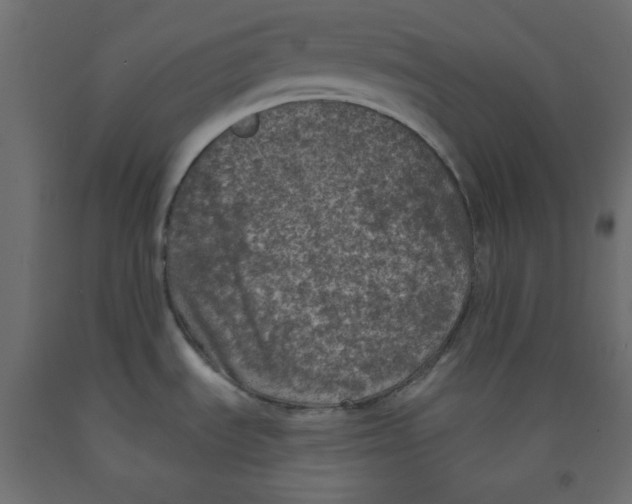 X0000091951535200710040958