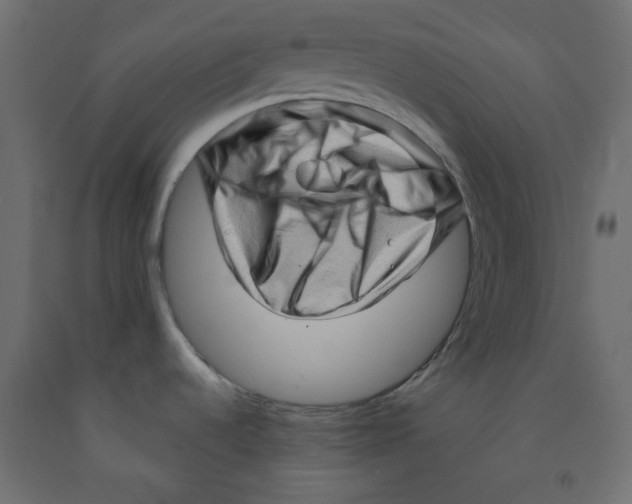 X0000091951536200710040958