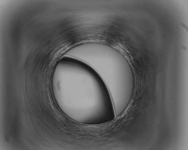 X0000091960001200709061110