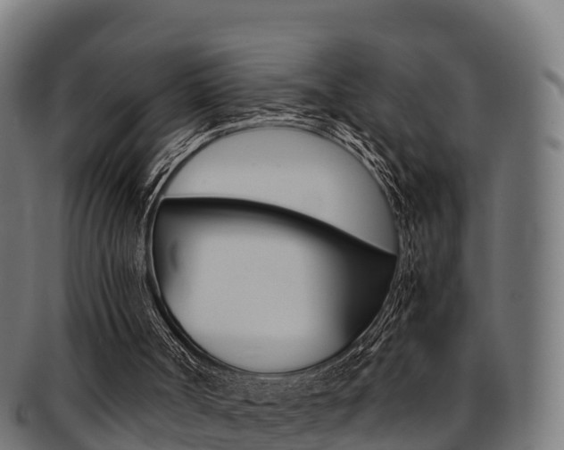 X0000091960002200709061110