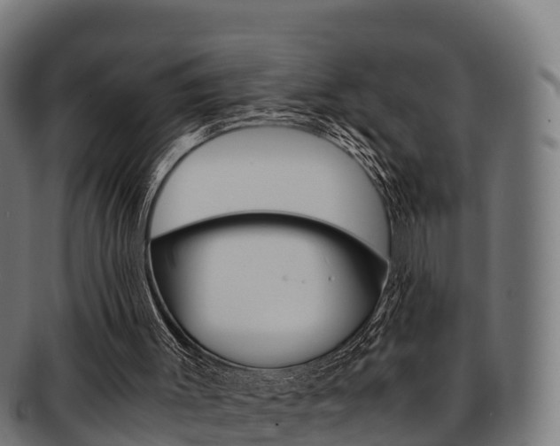 X0000091960003200709061110