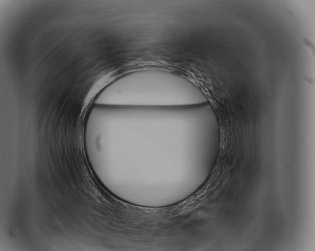 X0000091960004200709061110