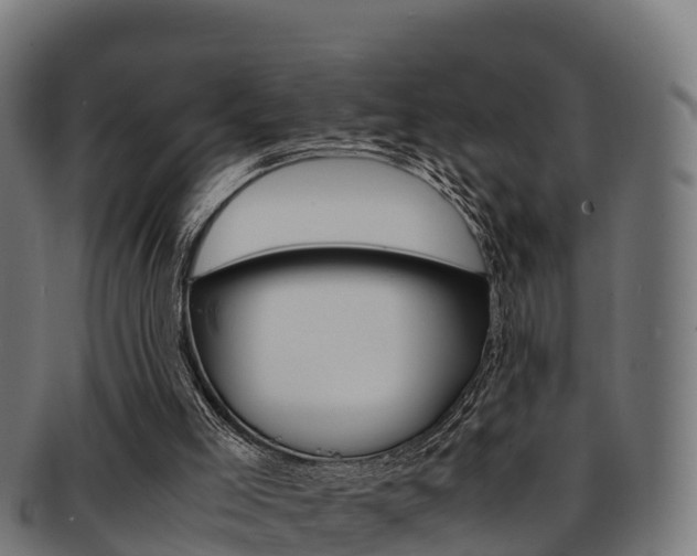 X0000091960005200709061110