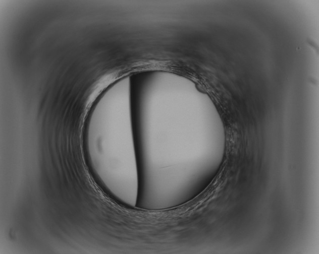 X0000091960006200709061110